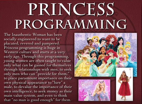 Princess-Programming